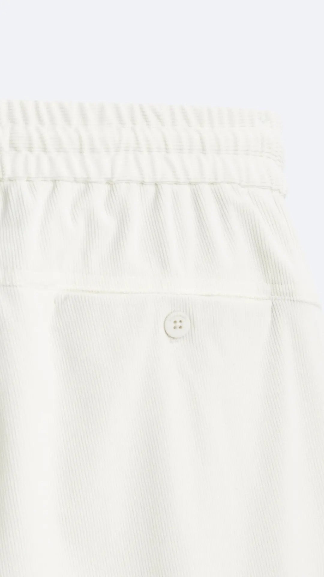 Zara Velvet Trouser