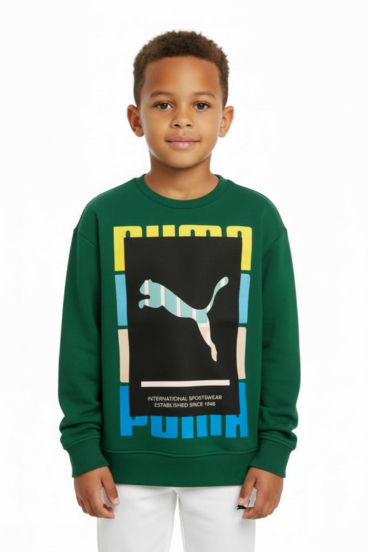 Puma sweatshirt Unisex Fleece