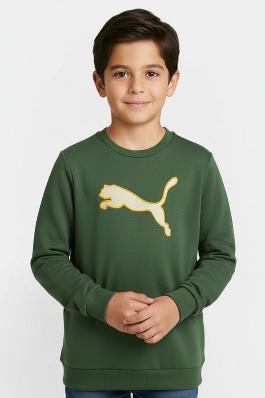Puma sweatshirt melton