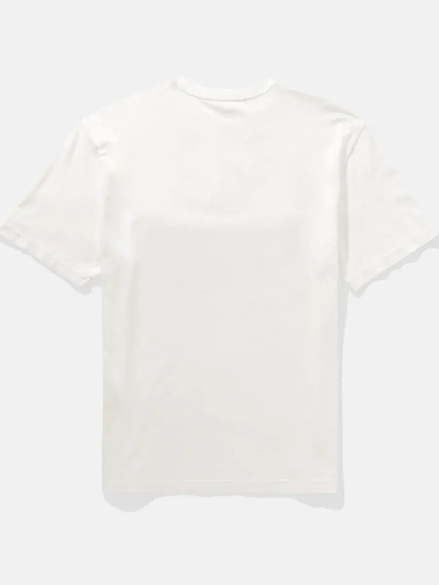 AMRICAN EAGLE  BLU/WHITE TSHIRT